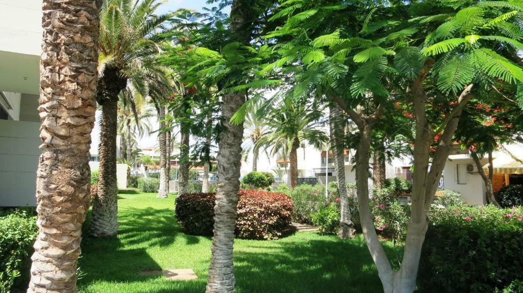 Primavera Appartement Tot 7 Personen Ideaal Voor Backpackers Arona  Exterior photo